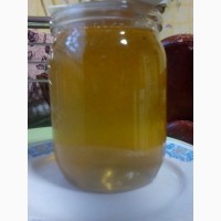 Продам мед подсолнуха