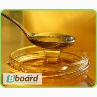 Куплю Мёд 20 т в бочках по 35 грн-кг