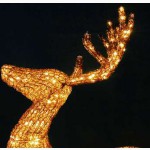 Новогодний подарок в Киеве, объемные световые фигуры