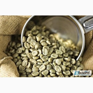 Зеленый кофе по выгодной цене