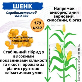 Насіння кукурудзи гібрид - ШЕНК ФАО 330