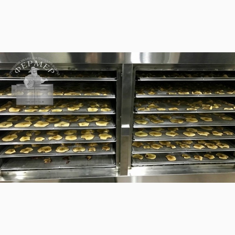 Фото 3. Инфракрасный сушильный шкаф Фермер-1020 для сушки яблочных чипсов, мясных джерок