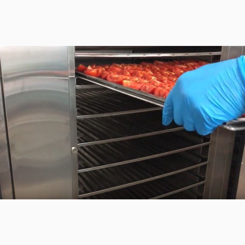 Фото 9. Инфракрасный сушильный шкаф Фермер-1020 для сушки яблочных чипсов, мясных джерок