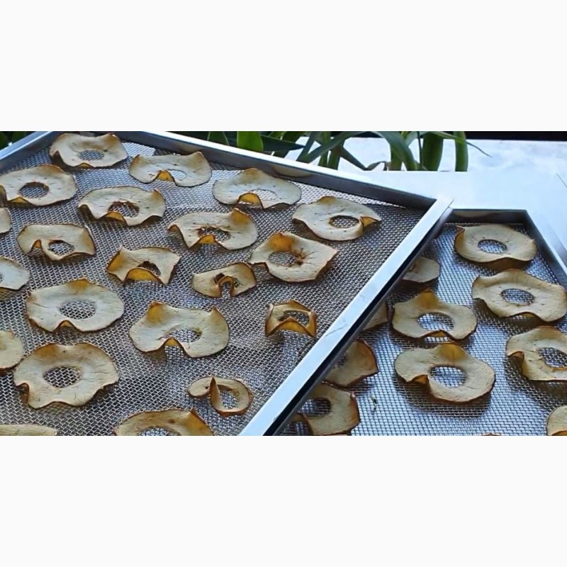 Фото 10. Инфракрасный сушильный шкаф Фермер-1020 для сушки яблочных чипсов, мясных джерок