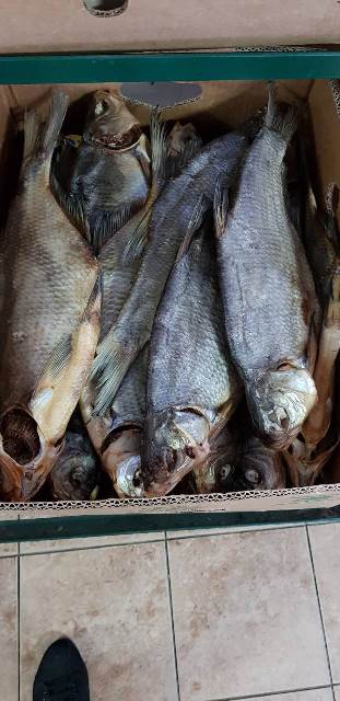 Фото 2. Продам вяленую рыбу в ассортименте. Тарань, Лещ, мелкий лещ, густера, судак, окунь