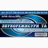Интенсивный курс звукорежиссуры и звукозаписи