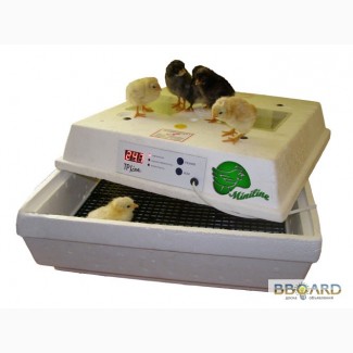 Бытовые инкубаторы Лелека для яиц от НПК Минилайн