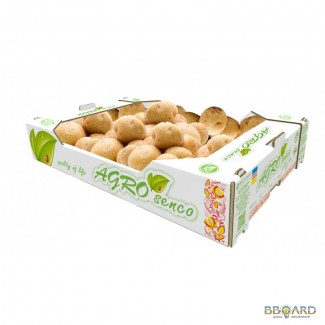 Продам оптом картофель TM AGRO SENCO