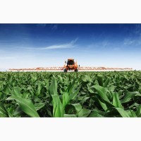 Агротехніка Monosem, Jacto, JCB в кредит від Агропросперіс Банку Львів
