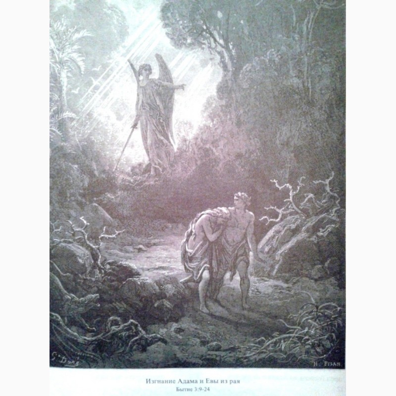 Фото 3. Каноническая Библия с гравюрами Гюстава Доре