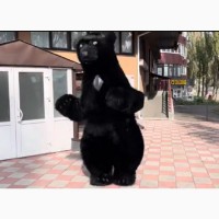 Пневмокостюм медведя для рекламы и развлечений
