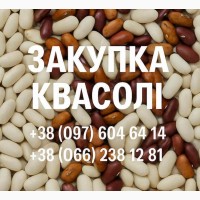 Купуємо квасолю. Заберемо своїм транспортом