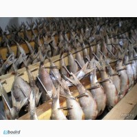 Рыба вяленая оптом