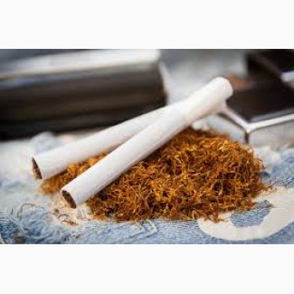Хароший табак свіженький ферментірований домашній