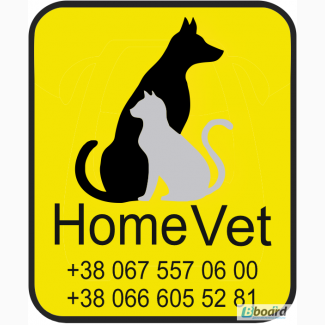 Home Vet» услуги для животных на дому