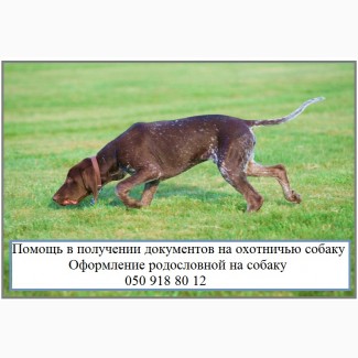 Реєструємо собак з видачею мисливського паспорта, Харків