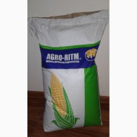 Семена кукурузы Патриция - ФАО 300, гибрид F1, (Семанс Франция)