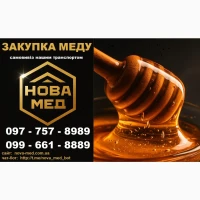 ЧЕРКАСЬКА область ЗАКУПОВУЄМО МЕД оптом від 300 кг