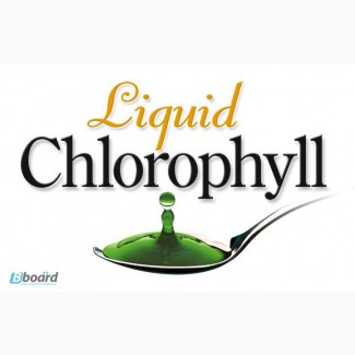 Хлорофилл Жидкий Liquid Chlorophyll NOW Foods в Одессе
