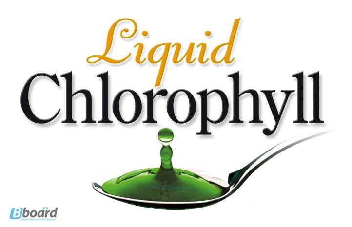 Хлорофилл Жидкий Liquid Chlorophyll NOW Foods в Одессе