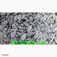 Изюм дамский пальчик