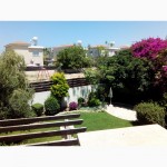Аренда недвижимости на Кипре. Трехспальная вилла V154 в Хлораке, г. Пафос