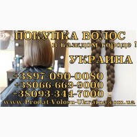 Продать волосы в Полтаве Купим волосы в Полтаве