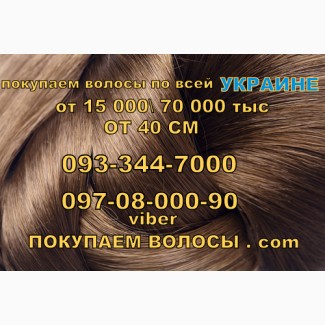 Принимаем волосы Николаев, Продать волосы в Николаеве ежедневно Скупка Волос ООО