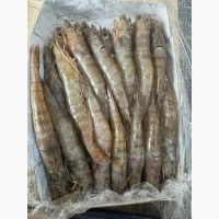 Jumbo_shrimp, king_prawns	shrimp wholesale, shrimp for restaurants	camarones