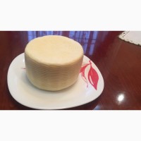 Продам моцарелла