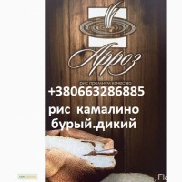Продается Рис Камалино/Круглый/бурый/дикий/ и другие сорта