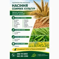 Насіння озимої пшениці, озимого ячменю, зимуючого гороху, озимої гірчиці