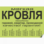 Ризография (дешевая оперативная печать) тиражирование метро Гагарина, Алексеевская Харьков