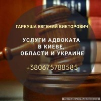 Адвокат по хозяйственным спорам Киев