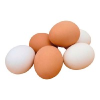 Яйцо инкубационное куриное «Адлер серебристый»