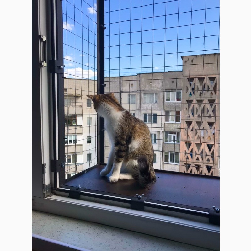 Фото 14. Балкончик для кошки на окно Броневик Днепр