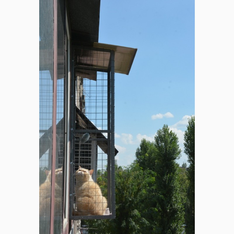 Фото 16. Балкончик для кошки на окно Броневик Днепр