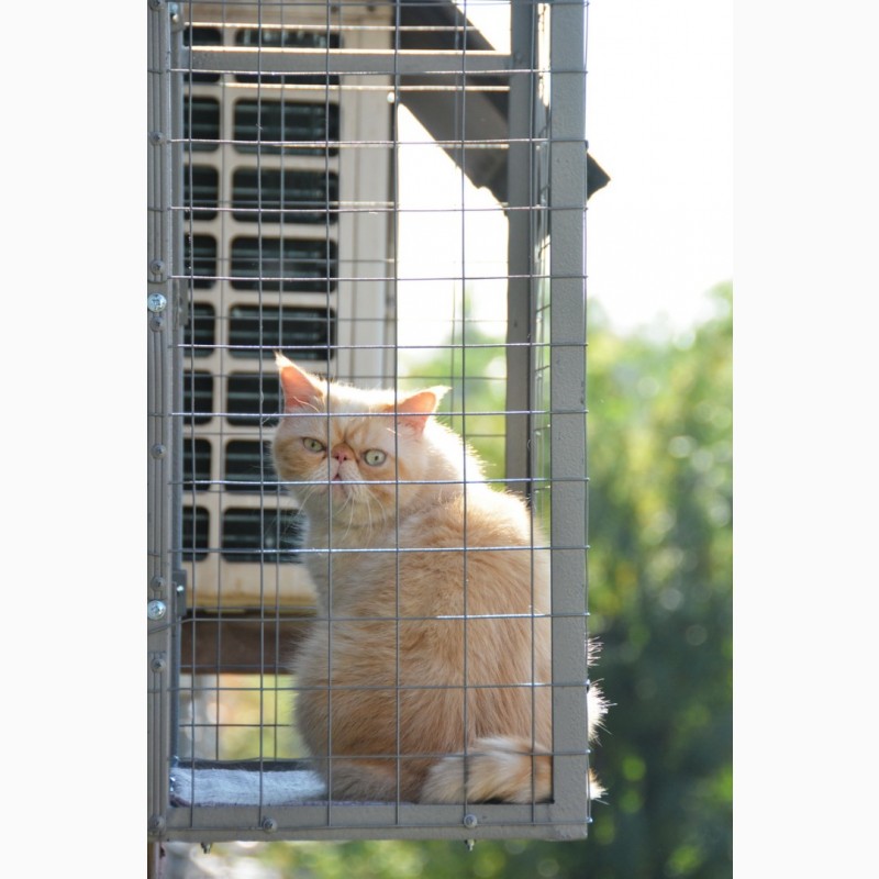 Фото 17. Балкончик для кошки на окно Броневик Днепр
