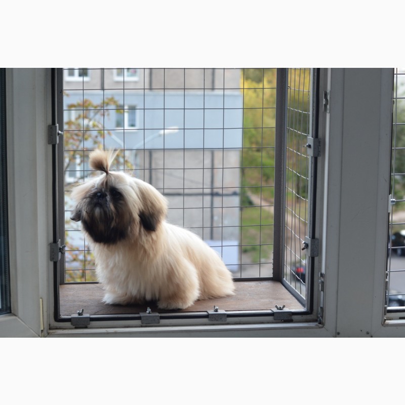 Фото 2. Балкончик для кошки на окно Броневик Днепр