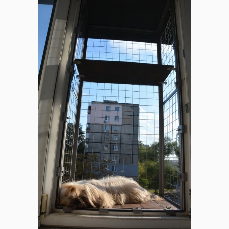 Фото 3. Балкончик для кошки на окно Броневик Днепр