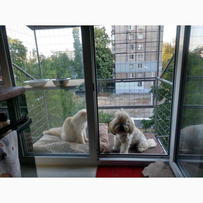 Фото 4. Балкончик для кошки на окно Броневик Днепр