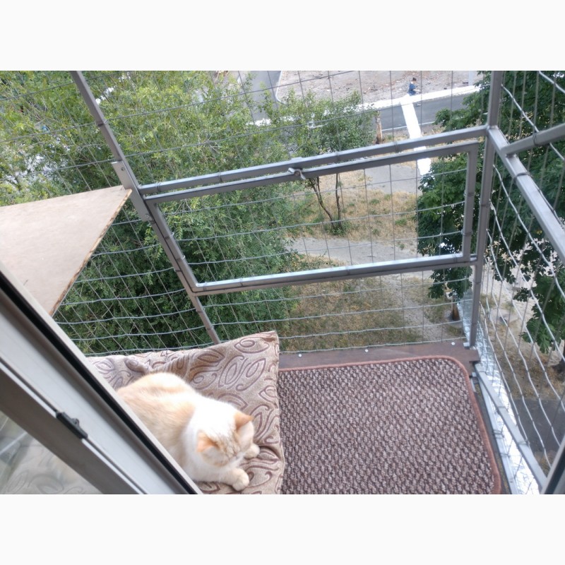 Фото 5. Балкончик для кошки на окно Броневик Днепр