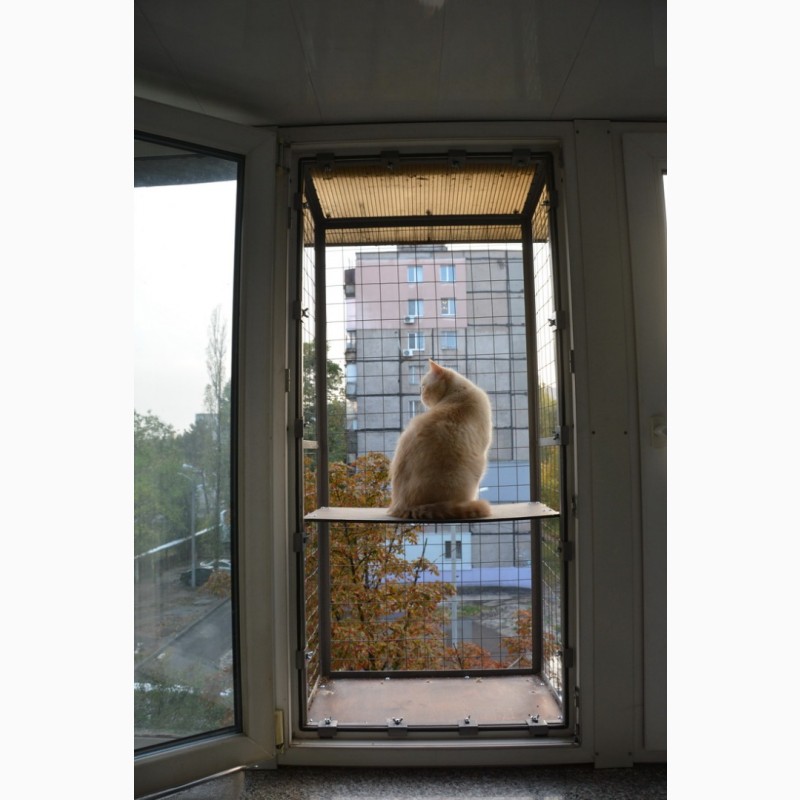 Фото 6. Балкончик для кошки на окно Броневик Днепр