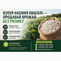 Насіння білої квасолі
